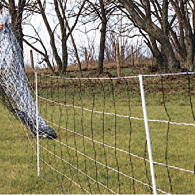 Elnet til får 90cm 50m